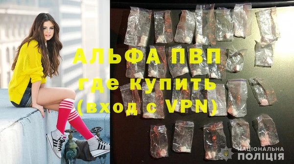 ECSTASY Алексин