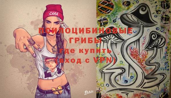ECSTASY Алексин